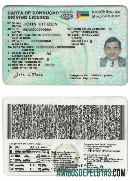 Carta de Condução de Moçambique exemplo real